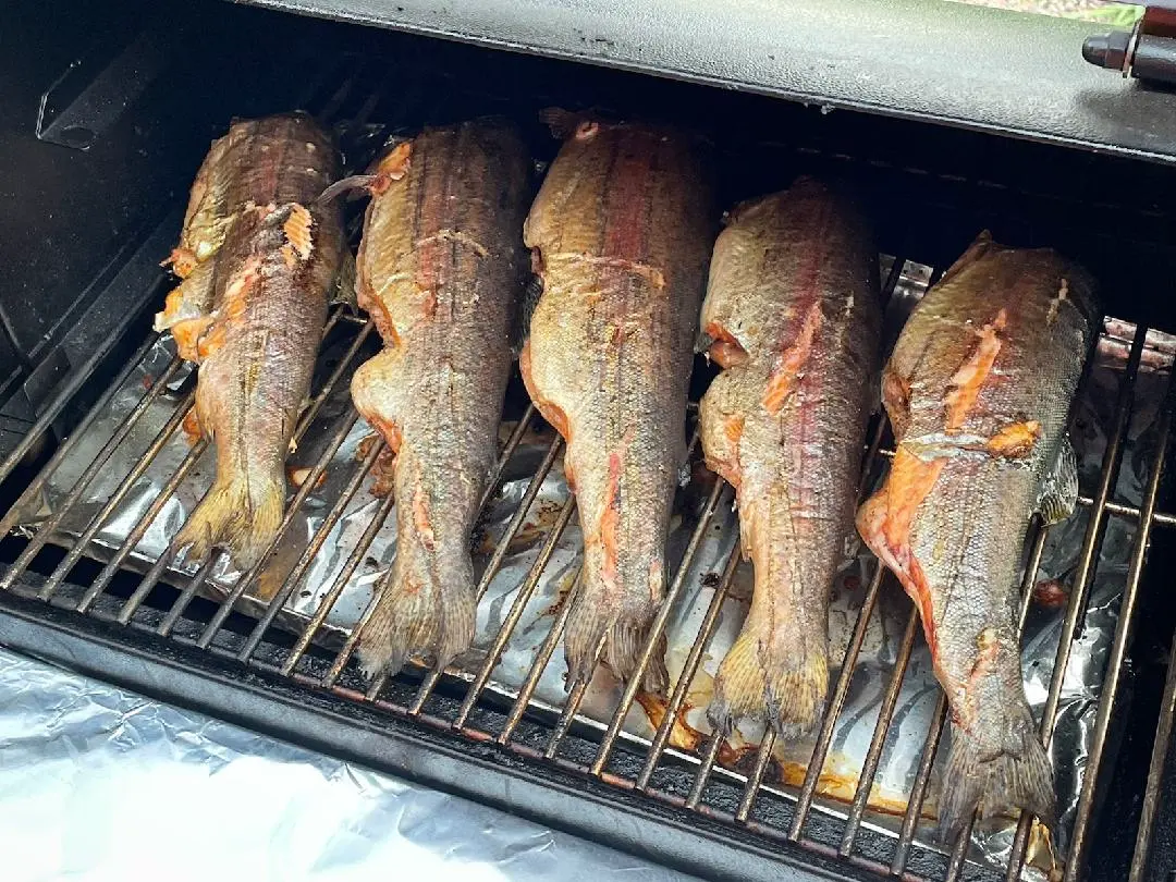 trout on grill